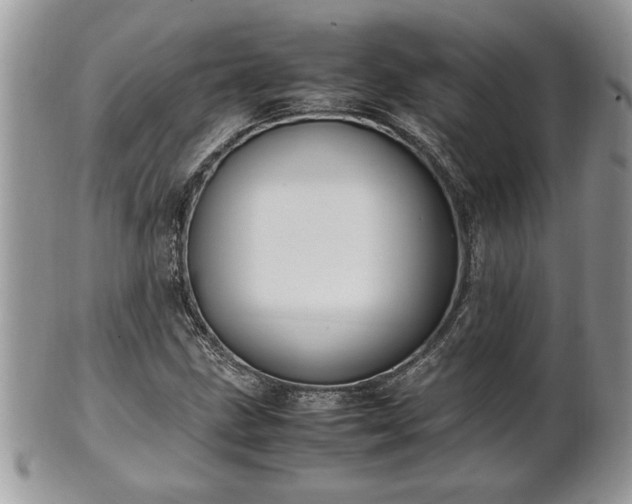 X0000101221211200807071339