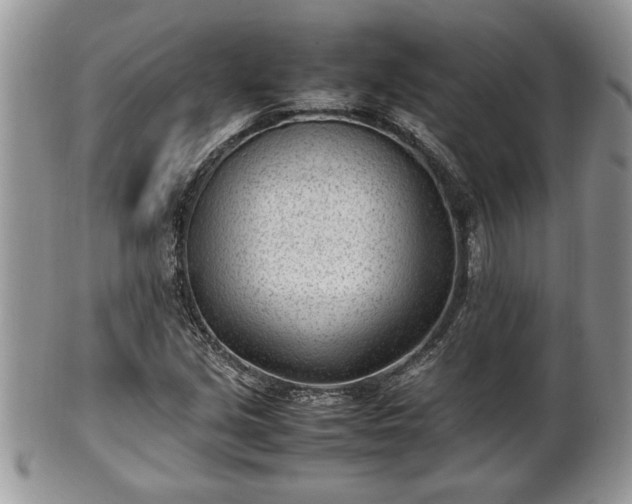 X0000101221213200807071339
