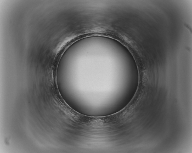 X0000101221214200807071339