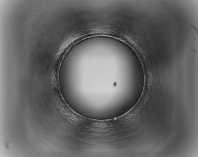 X0000101221215200807071339