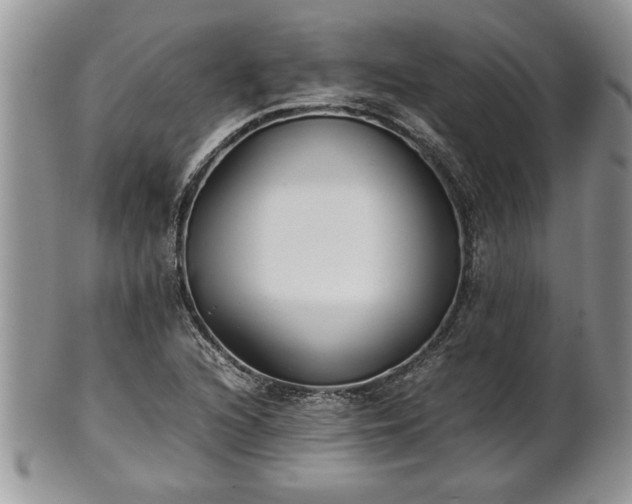 X0000101221216200807071339