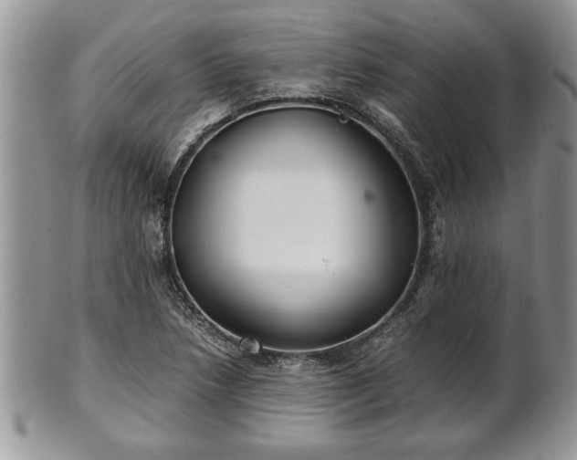 X0000101221218200807071339