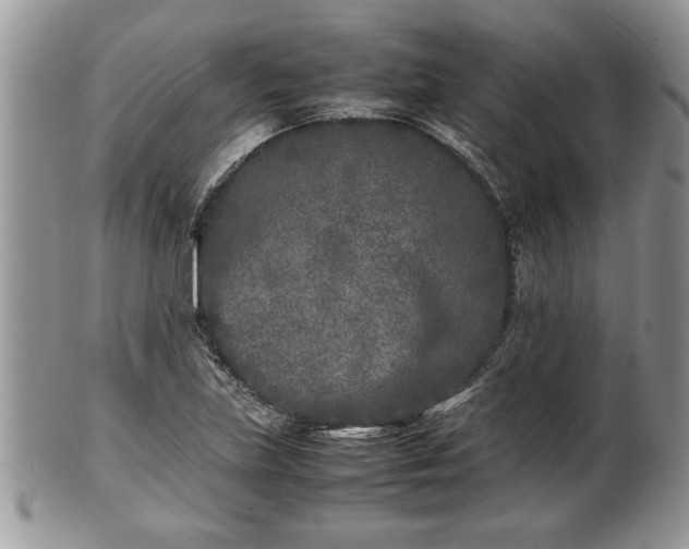X0000101221219200807071339