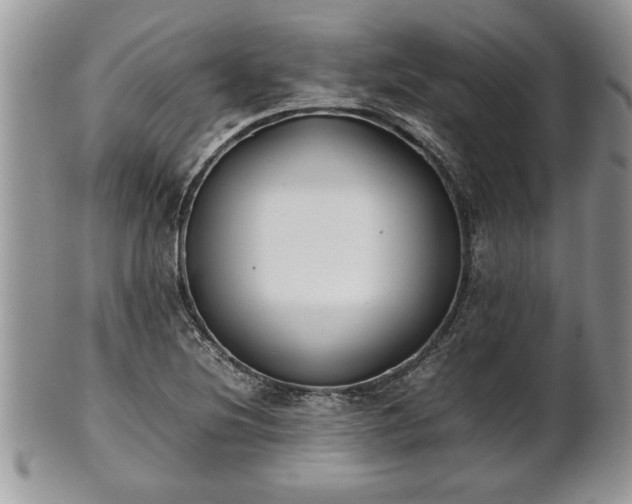 X0000101221220200807071339