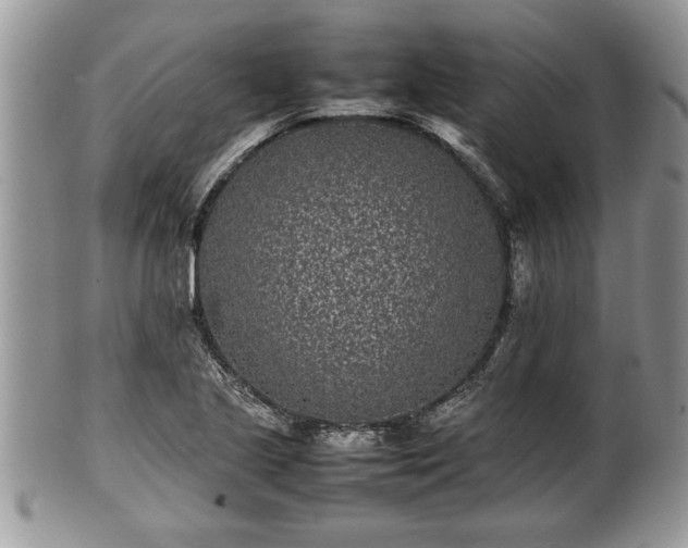 X0000101221221200807071339