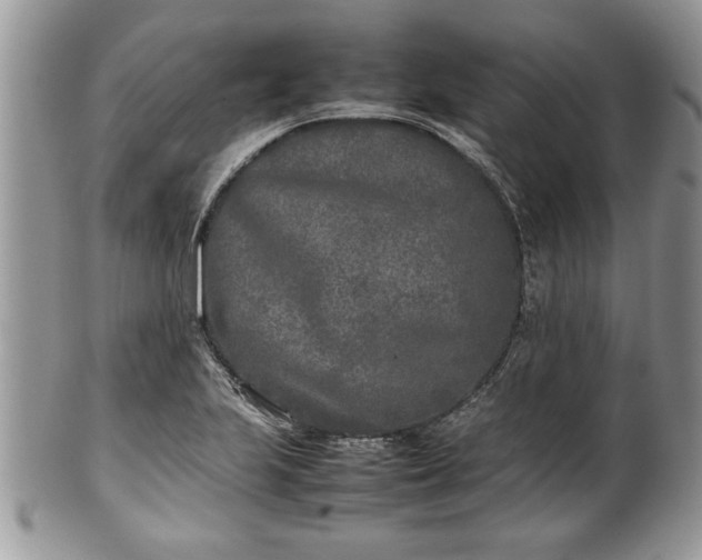 X0000101221223200807071339
