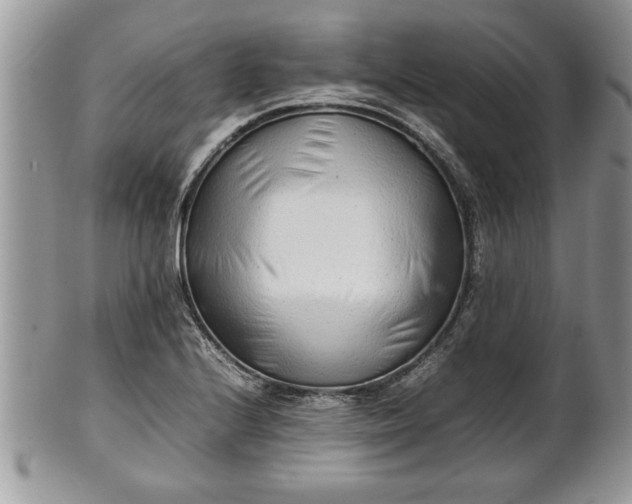 X0000101221224200807071339