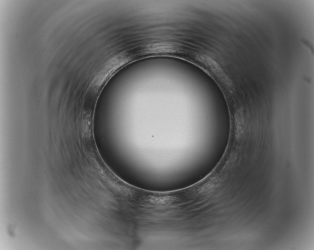 X0000101221225200807071339