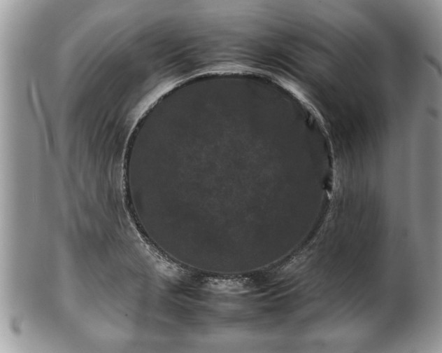 X0000101221229200807071340