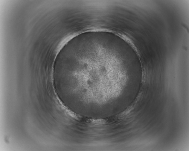 X0000101221231200807071340
