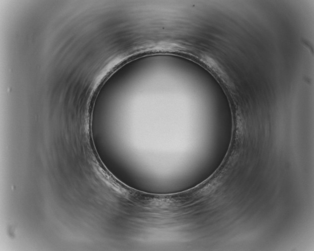 X0000101221232200807071340