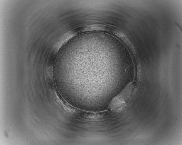 X0000101221233200807071340