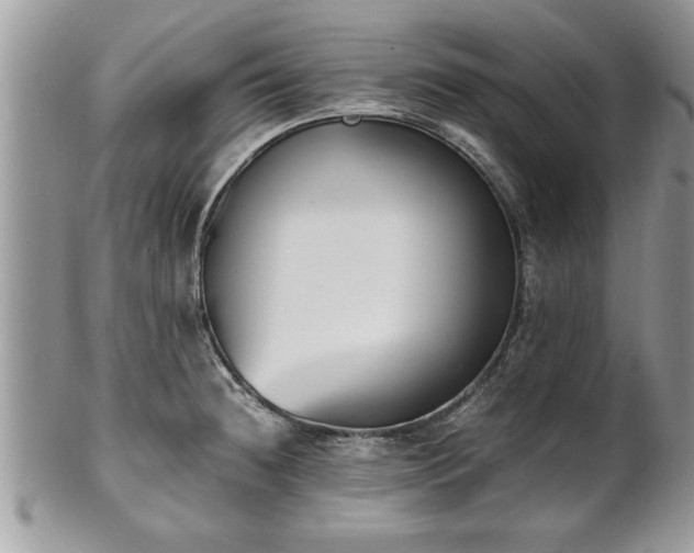 X0000101221236200807071340