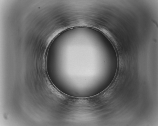 X0000101221238200807071340