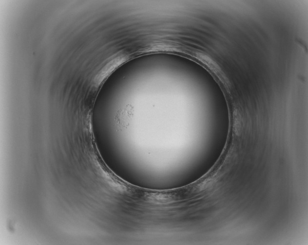 X0000101221241200807071340