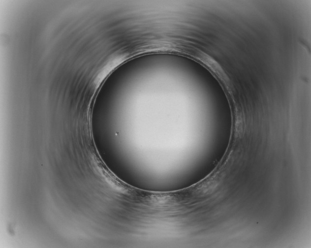 X0000101221242200807071340