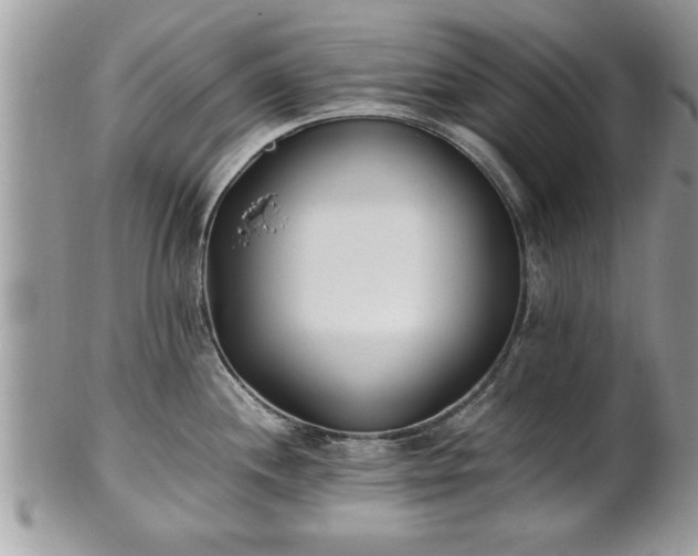 X0000101221244200807071340