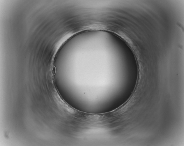 X0000101221248200807071340