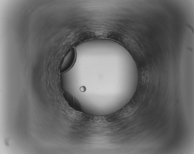 X0000101221249200807071339
