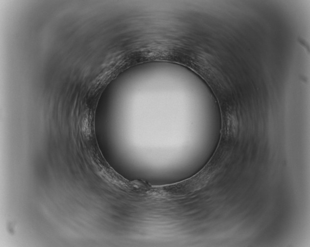 X0000101221250200807071339