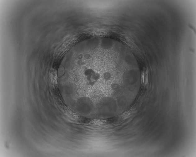 X0000101221251200807071339