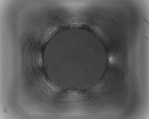 X0000101221252200807071339