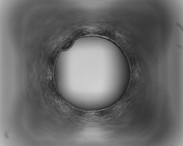 X0000101221253200807071339