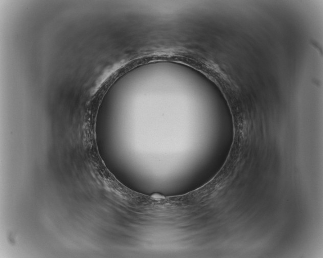 X0000101221256200807071339