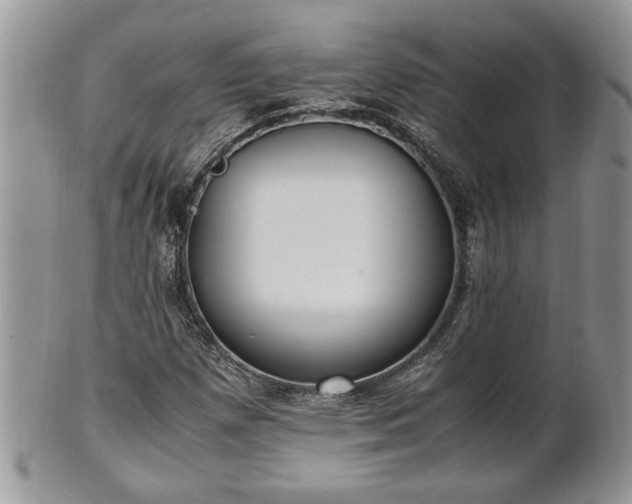 X0000101221257200807071339