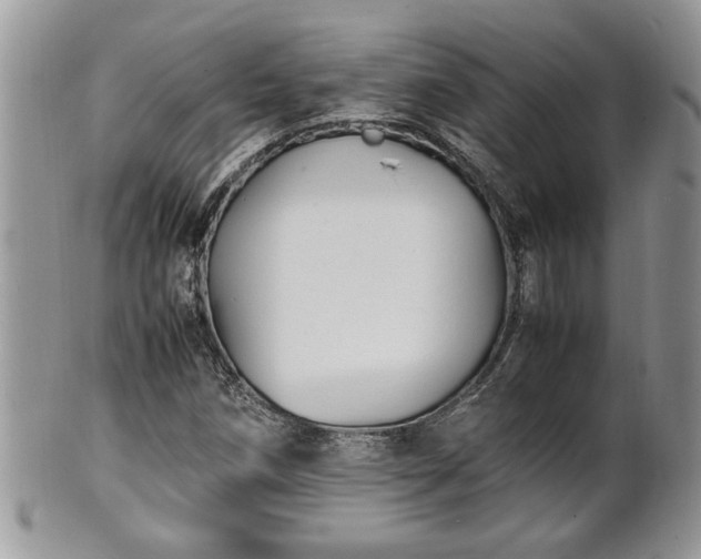 X0000101221258200807071339