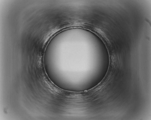 X0000101221260200807071339