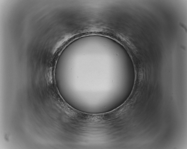 X0000101221262200807071339