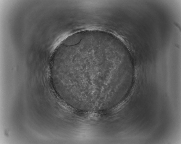 X0000101221263200807071339