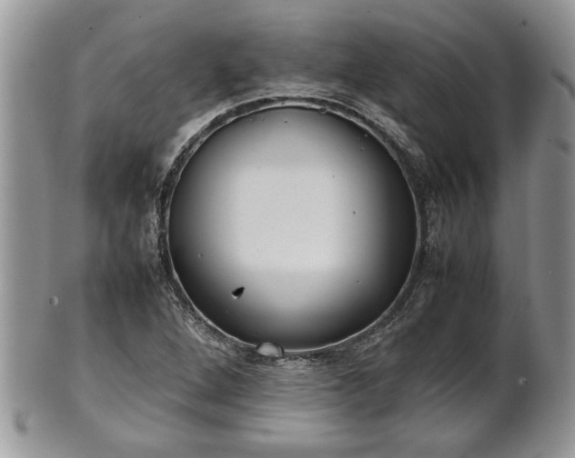 X0000101221264200807071339