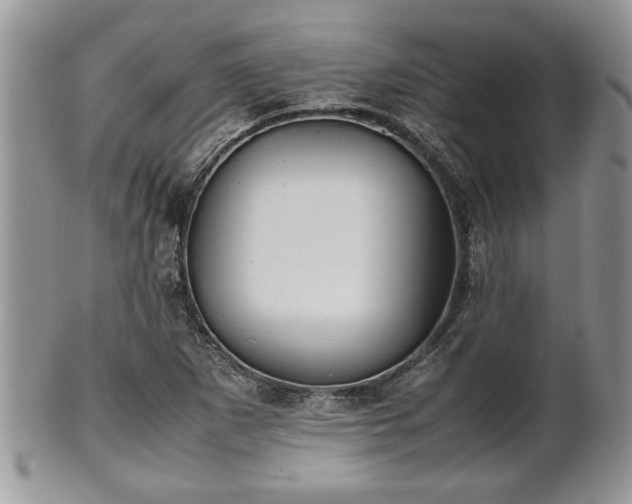 X0000101221265200807071339