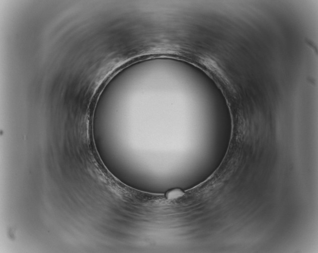 X0000101221268200807071339