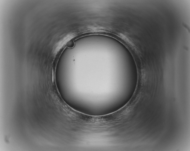 X0000101221269200807071339