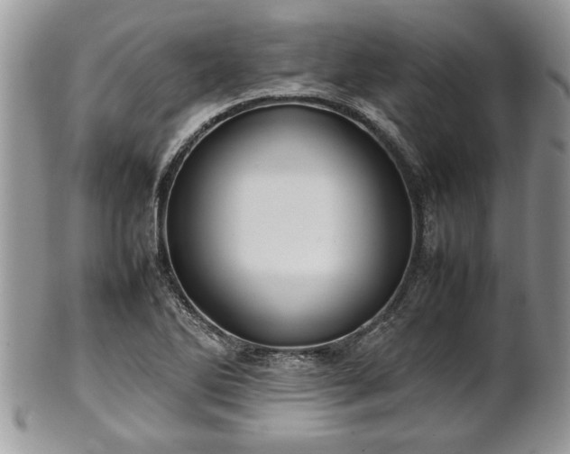 X0000101221270200807071339