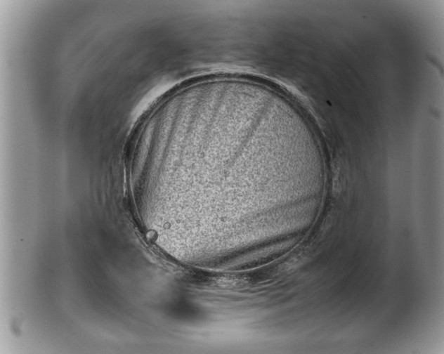 X0000101221271200807071339