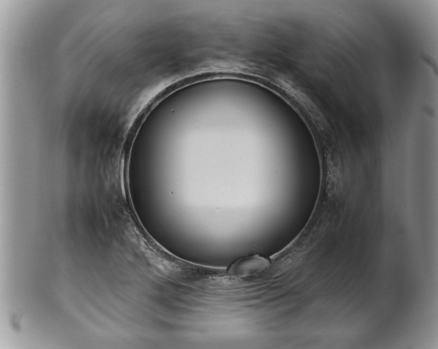 X0000101221272200807071339