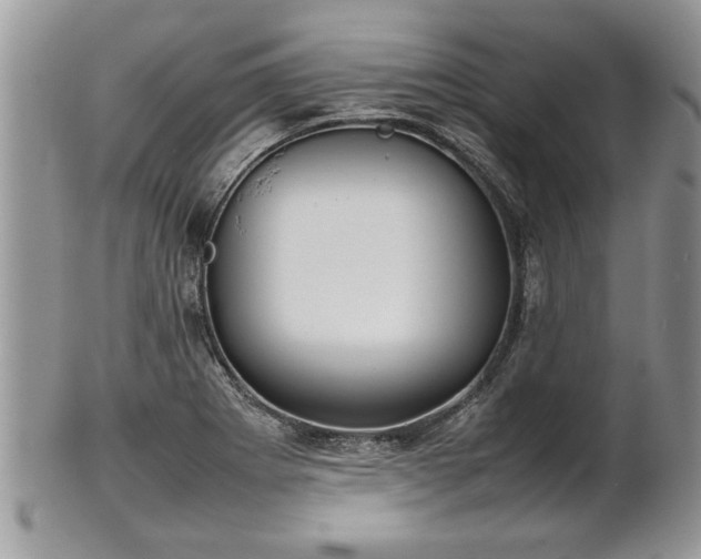 X0000101221273200807071339