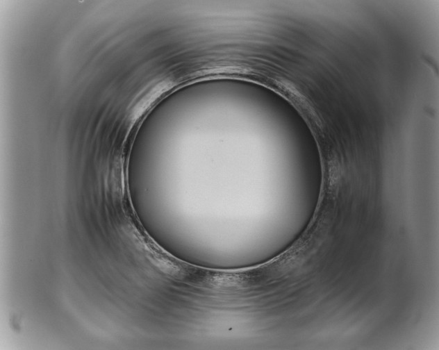 X0000101221274200807071339