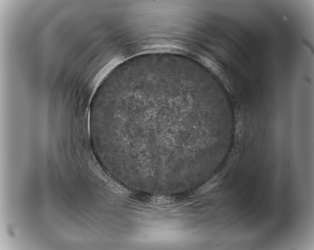 X0000101221275200807071339