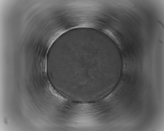 X0000101221276200807071339