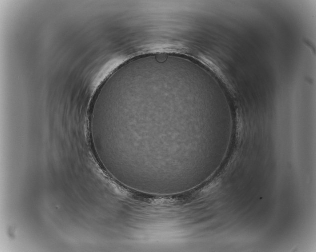 X0000101221277200807071339