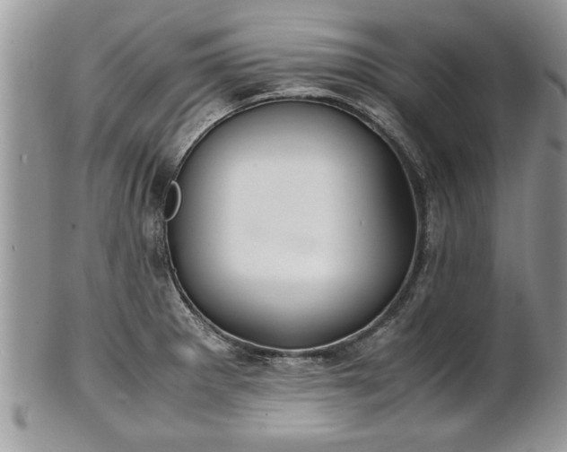X0000101221281200807071338