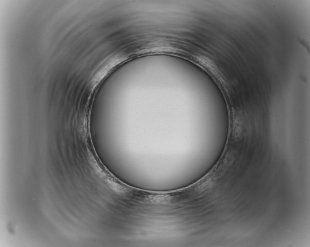 X0000101221282200807071338