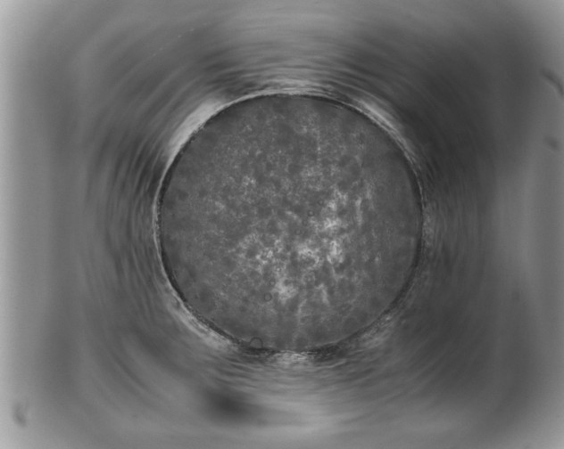 X0000101221283200807071338