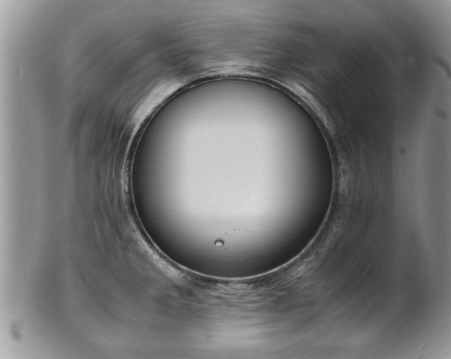 X0000101221285200807071338