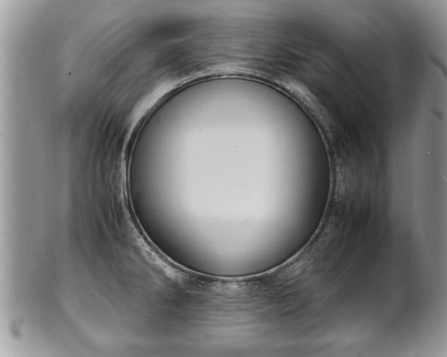 X0000101221286200807071338